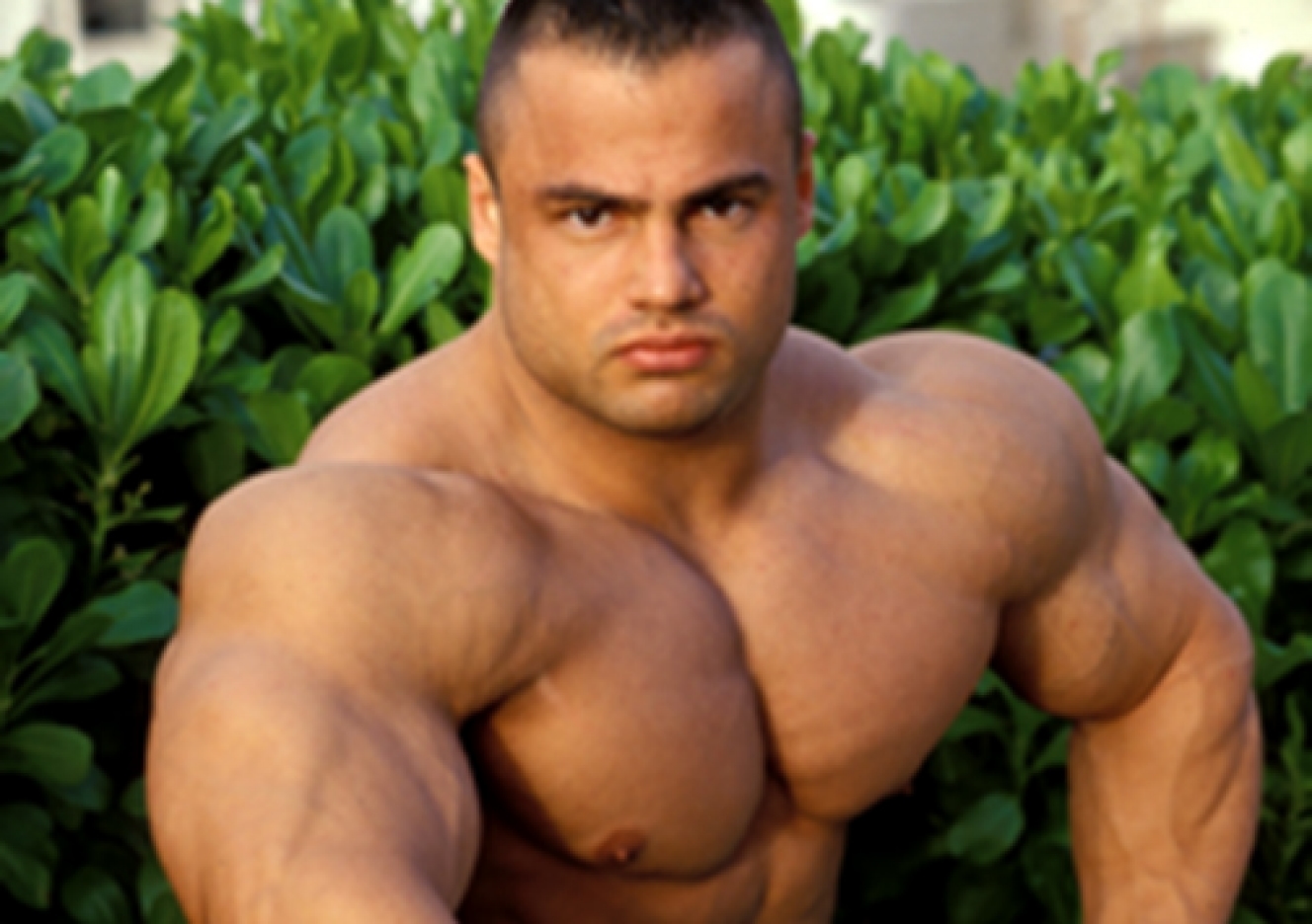 danny_hindalov_4