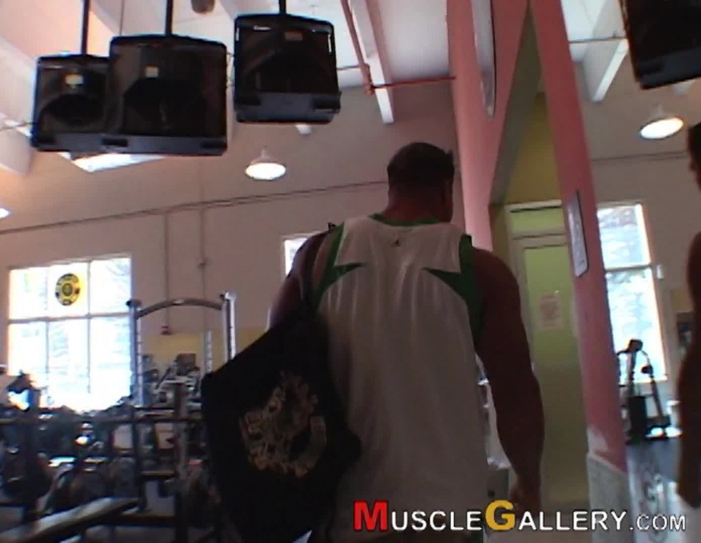 David Riley - Male Bodybuilders and Muscle Videos at MuscleGallery.com